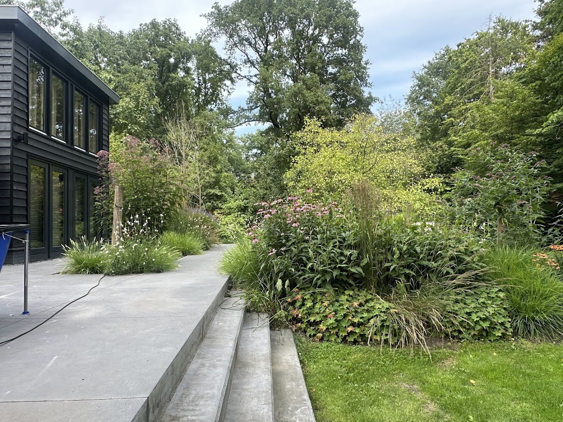 Maud van den Berg Tuinontwerp