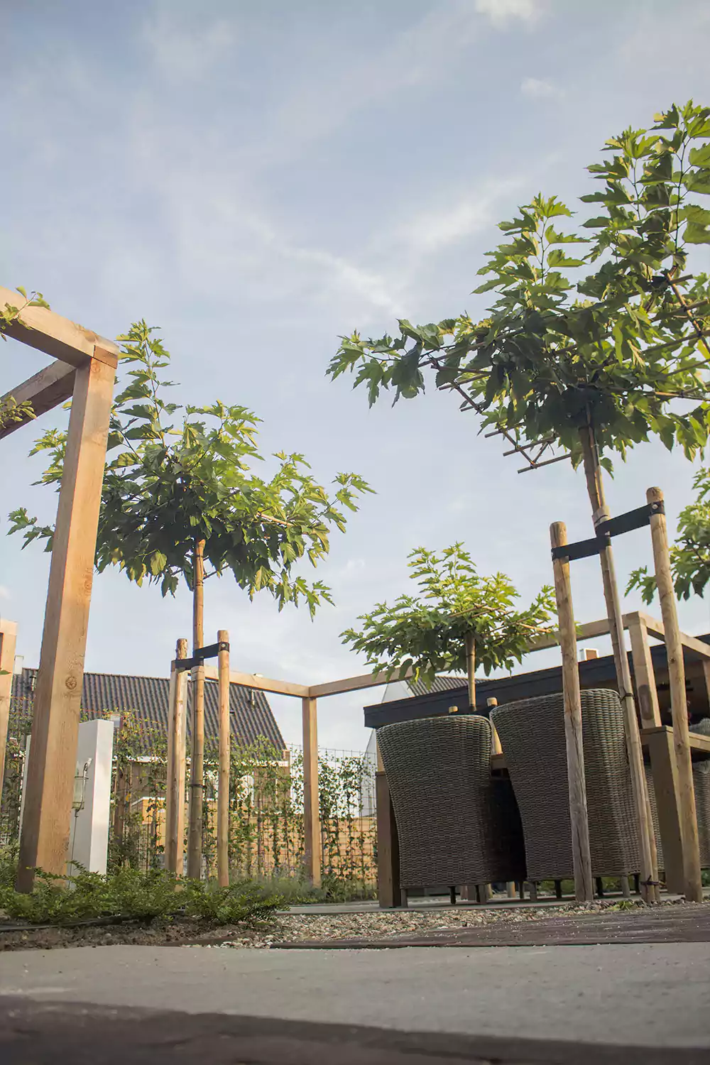 Maud van den Berg Tuinontwerp