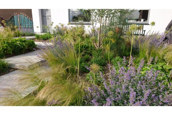 Maud van den Berg Tuinontwerp