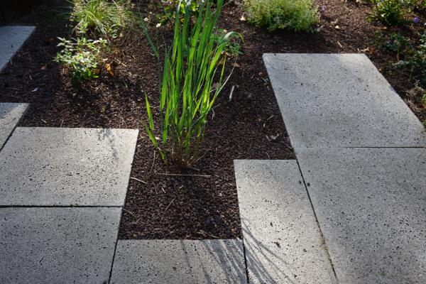 Maud van den Berg Tuinontwerp