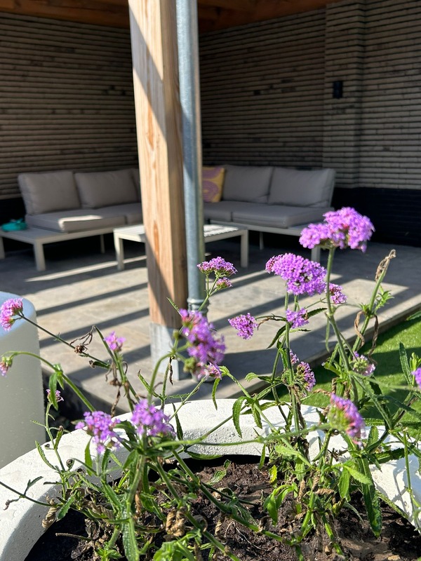 Van den Boogaard Tuinaanleg