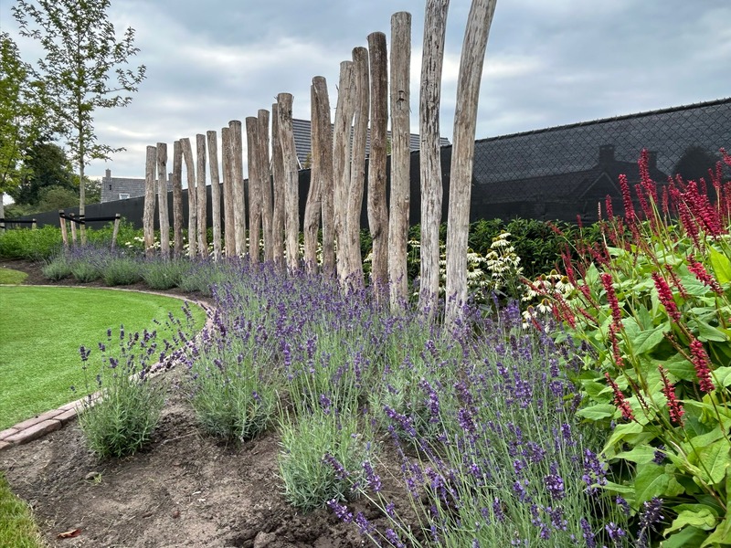 Van den Boogaard Tuinaanleg