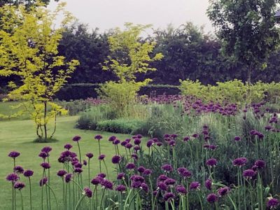 Carla Rovers Vormgeving