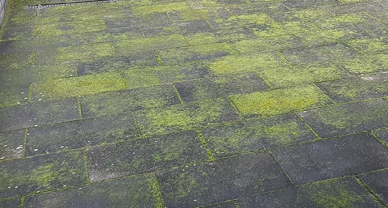 tuintegels die niet groen worden