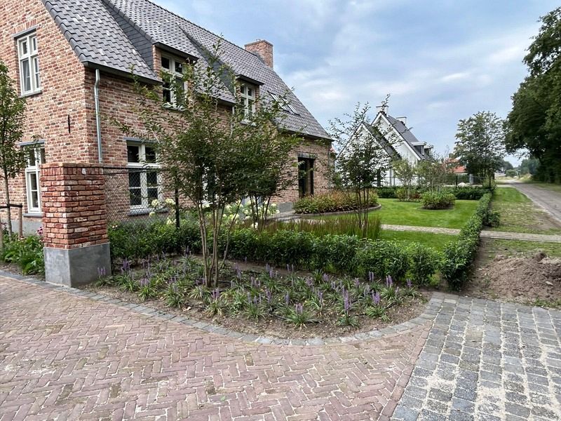 Van den Bosch