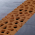 Corten