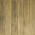 Golden Teak
