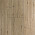 Light Oak