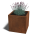 Corten