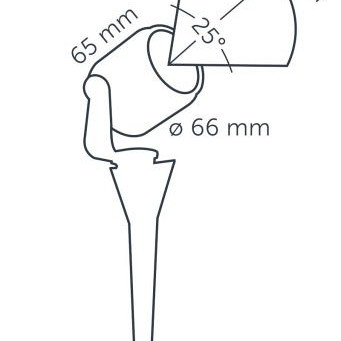 in-lite - Scope