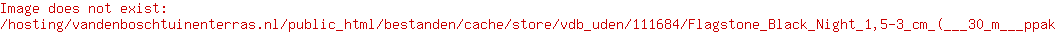 Flagstone Black Night 1,5-3 cm (± 30 m² p/pak)
