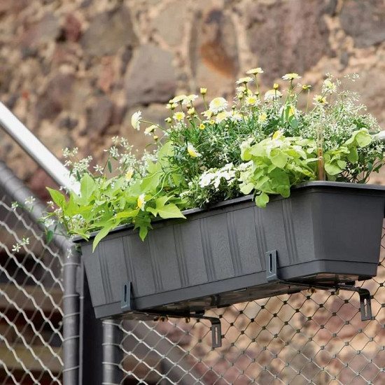 AQUA Green Balkonbak 60x21x17,5 cm (lxbxh) antraciet