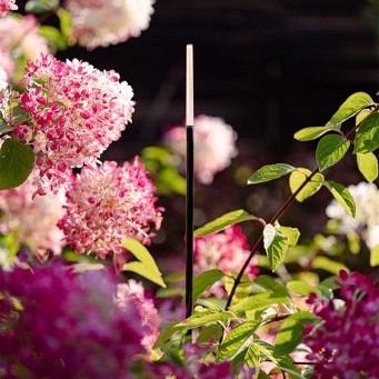 in-lite - Breeze Low