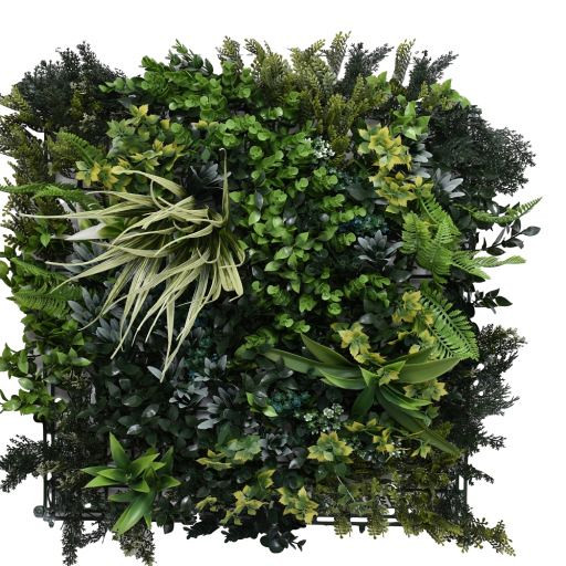 Green wall element Botanic A (50x50 cm)