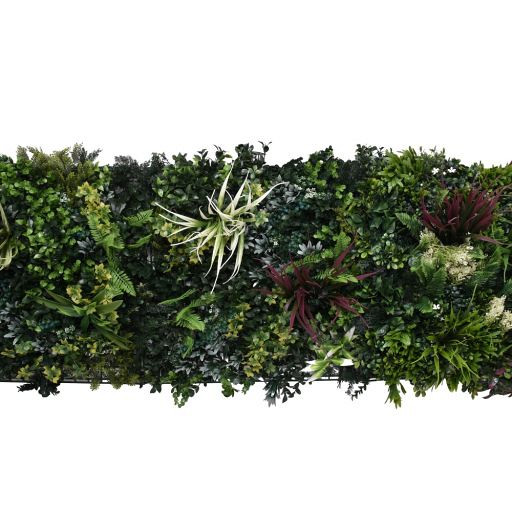 Green wall element Botanic C (50x50 cm)