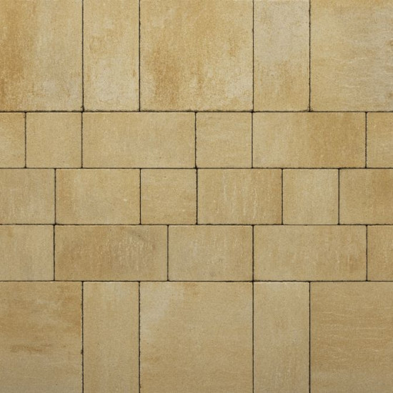 Recto Antique klein wildverband 6 cm Mont Blanc