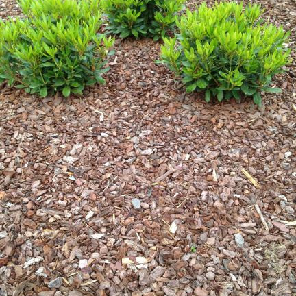 Boomschors Grove den (1m³)