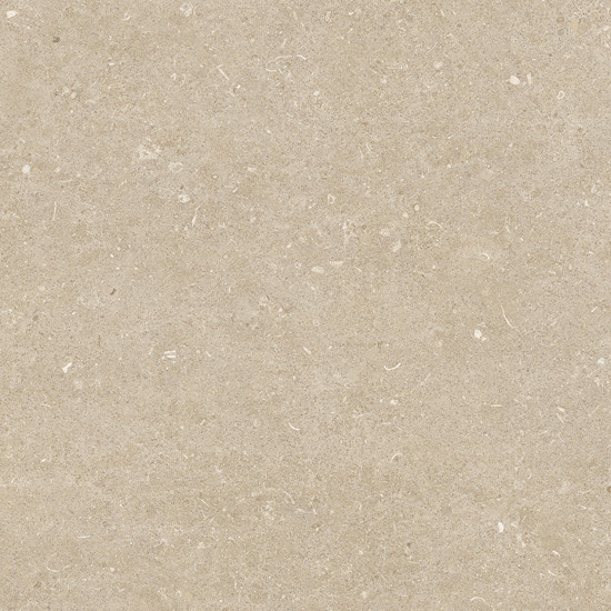 Keramsiche tegel 120x120x2 cm Conchiglia Arena