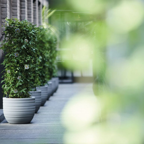 Elho allure ribbon 47 mineral clay (lxbxh)46,8x46,8x37,6