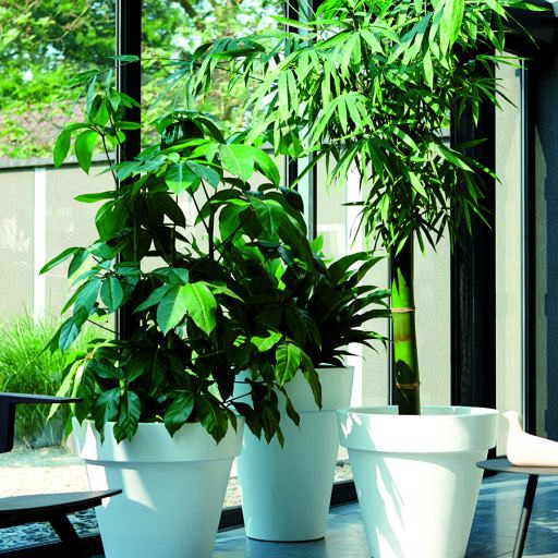 Elho pure round 50 wit (lxbxh)49x49x44,4