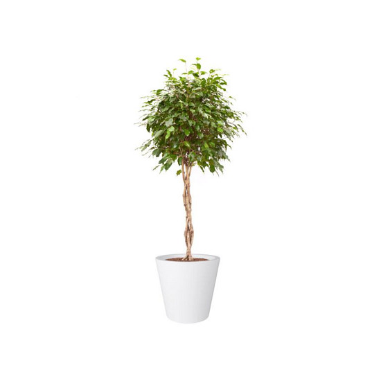 Elho pure straight round 50 wit (lxbxh)50x50x51