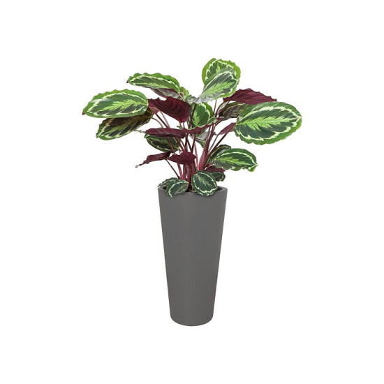 Elho pure straight round high 40 beton (lxbxh)39x39x80