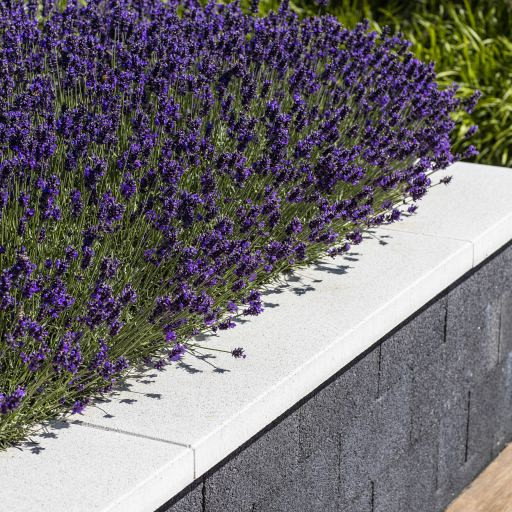 Muur afdekplaat 100x25x5 Noorswit