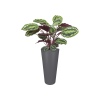 Elho pure straight round high 40 antraciet (lxbxh)39x39x80