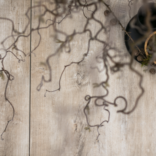 GeoCeramica® 2Drive 60x30x6 Timber Tortera