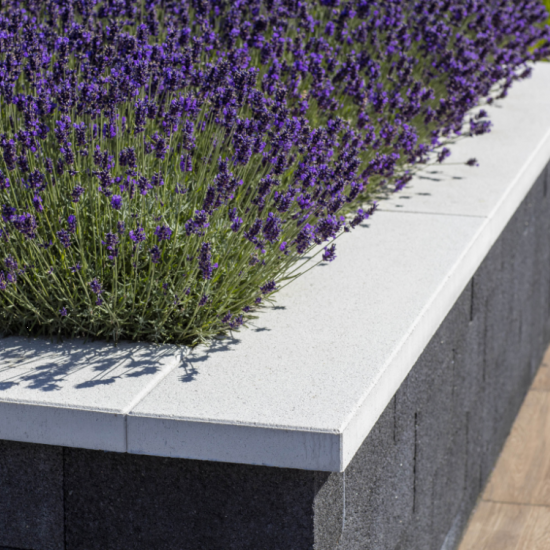 Muur afdekplaat 100x25x5 Noorswit
