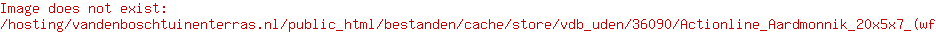 Actionline Aardmonnik 20x5x7 (wf)