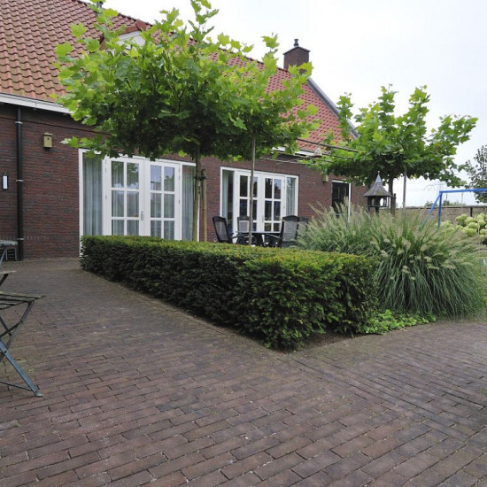 Gebakken WF80 205x50x80 mm Violeto