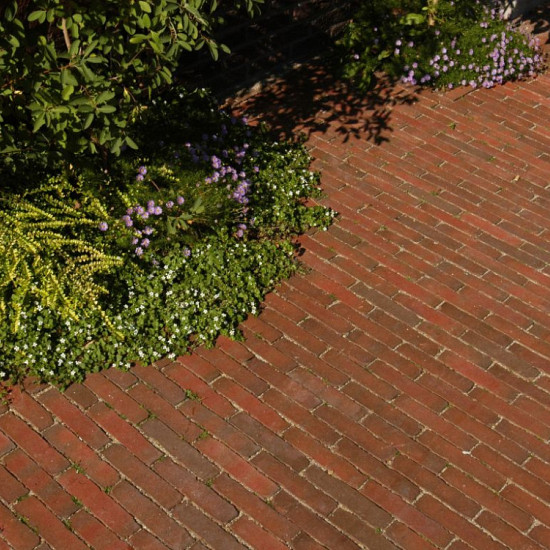 Gebakken WF85 205x50x85 mm Lumino