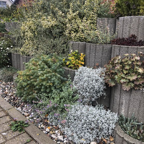 Cirkelflor Groot Zwart 48x38x30