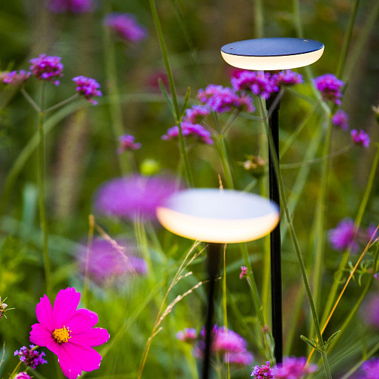 in-lite - Sway Light Head - Pearl Grey