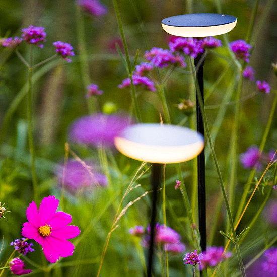 in-lite - Sway Tube