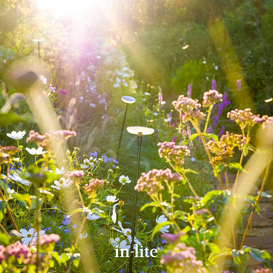 in-lite - Sway Tube