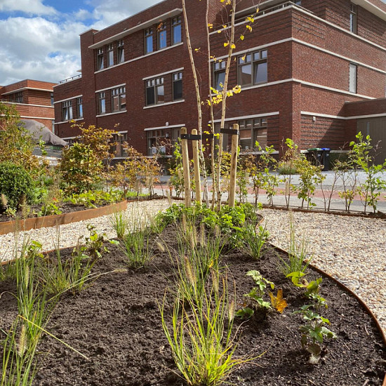 Flexline 150x2200 mm, Weervast (corten) incl. 3 platte grondpennen en verbindingsplaat