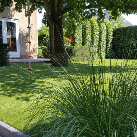 Royal Grass® Aura ** 2 meter breed