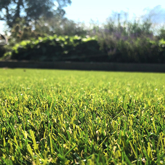 Royal Grass® | Dolce | 4 meter breed