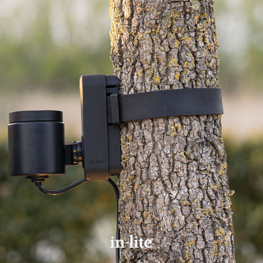 in-lite - Brace