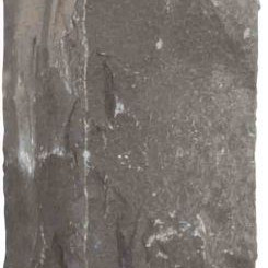 Palissade Black pearl naturel 50x12x12 cm
