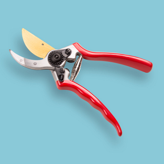 Snoeischaar TITAN 2 Professionele kwaliteit. Blad met Titanium coating