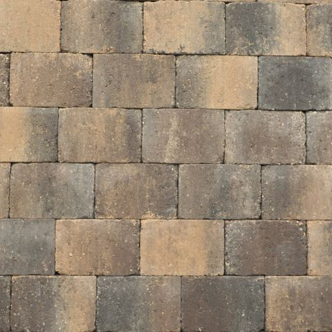Abbeystones 30x40x6 cm Giallo met deklaag