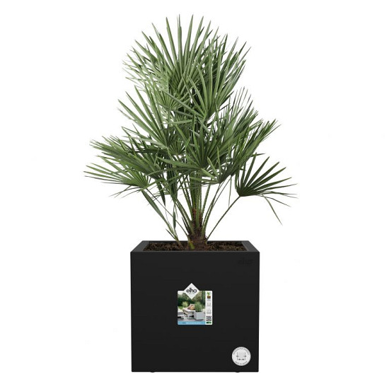Elho vivo next vierkant 40 living black (lxbxh) 39x40x38 cm + wielen