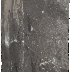Palissade Black pearl naturel 50x12x12 cm