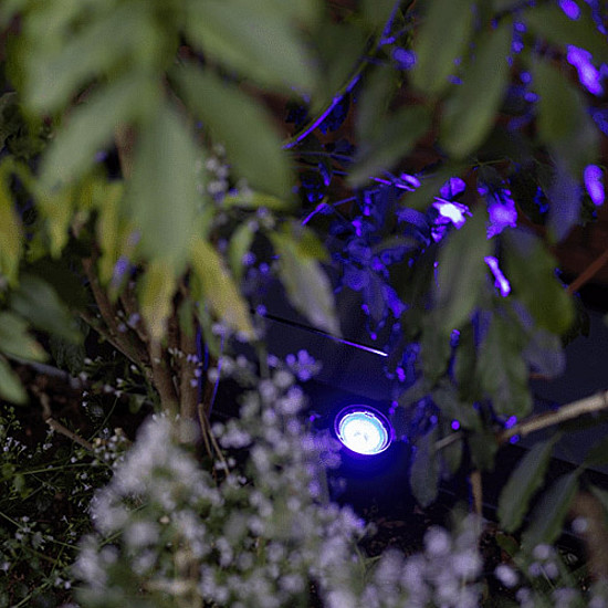in-lite - Smart Scope Tone 12V