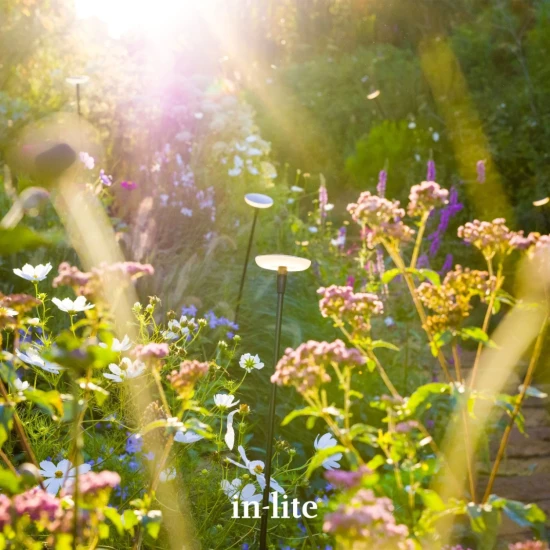 in-lite - Sway Tube Extra Low