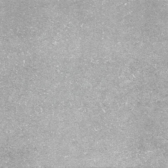 GeoCeramica® Topplaat 60x60x1 cm BB stone light grey