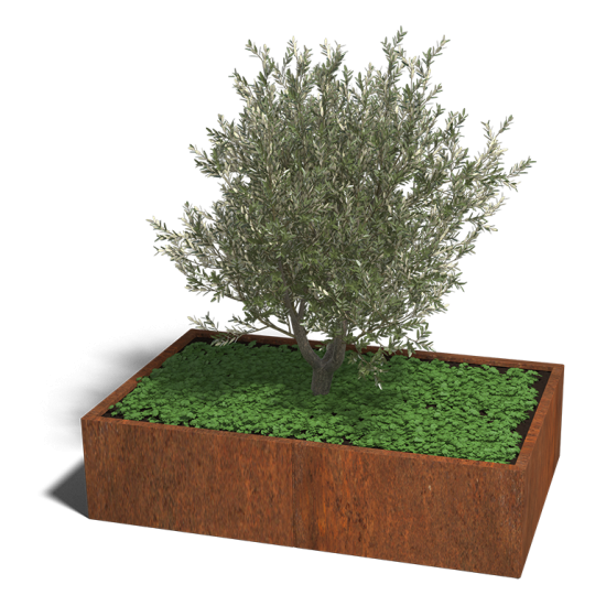 Cortenstaal plantenbak Rechthoek XL 160x100 hoogte=60cm opties=bodemplaat